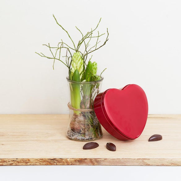 Hvide hyacinter i glas med hjerte med mintchokolade